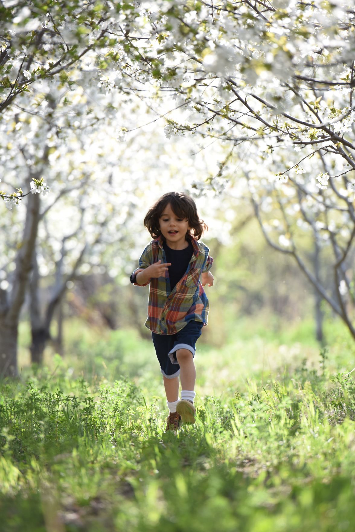 outside-summer-play-running-kids-boy-child-1416736.jpg